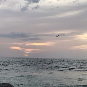 Meet your Posher, Maribeth